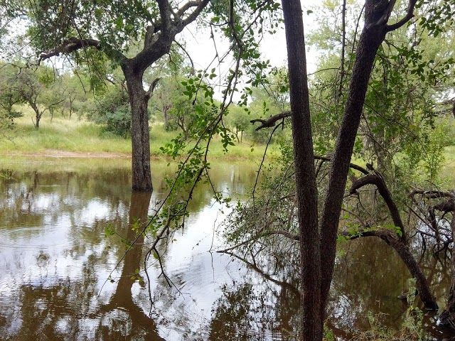 Lionspruit Game Reserve